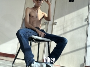 Dikey
