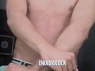 ENIXBIGCOCK