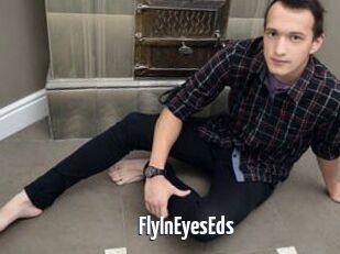 FlyInEyesEds