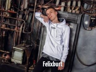 Felixburt