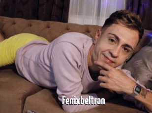 Fenixbeltran