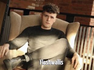 Flashwallis
