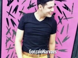 GonzaloNarvaes
