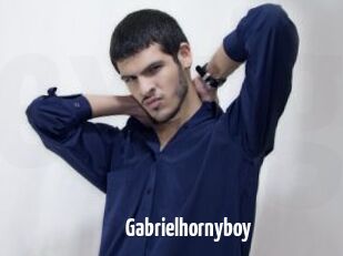 Gabrielhornyboy