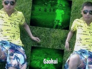 Gaokui