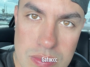 Gatoccc