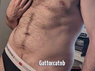 Gattorcatnb