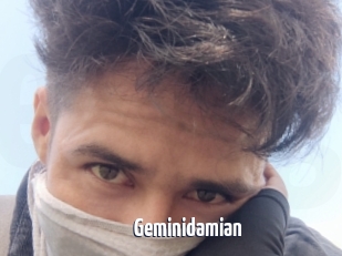 Geminidamian