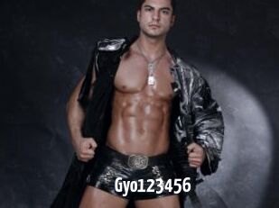 Gyo123456
