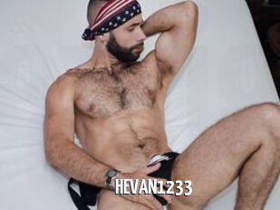 HEVAN1233