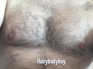 Hairybodyboy