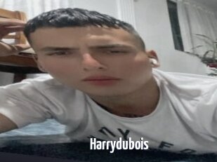 Harrydubois