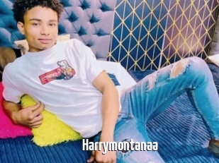 Harrymontanaa