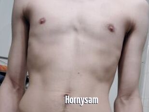 Hornysam