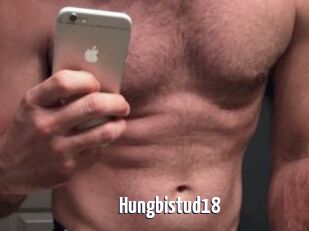 Hungbistud18