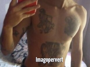 Imagopervert