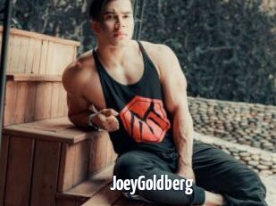 JoeyGoldberg