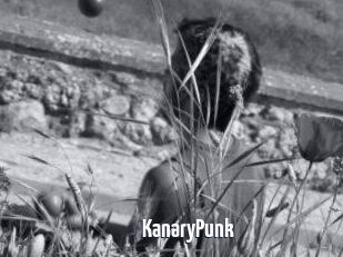 KanaryPunk