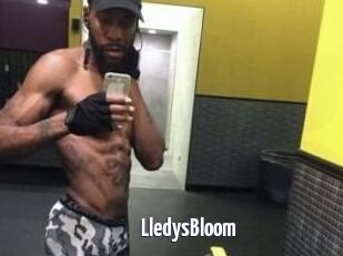 Lledys_Bloom