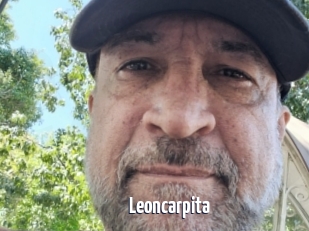 Leoncarpita
