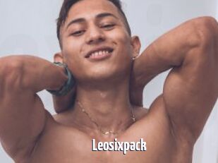 Leosixpack