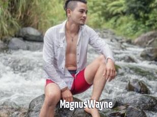 MagnusWayne