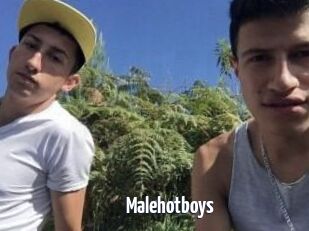 Malehotboys