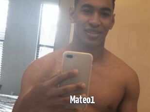 Mateo1