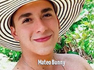 Mateo_Bunny