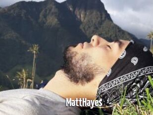 MattHayes