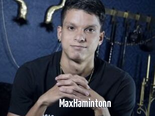 MaxHamintonn