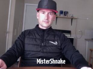 MisterShnake