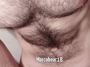 Marcobear18