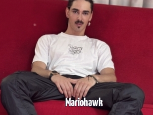 Mariohawk