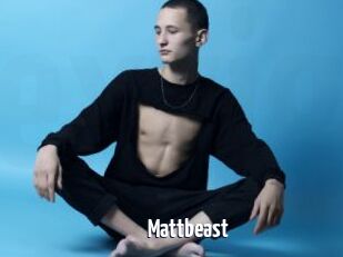 Mattbeast