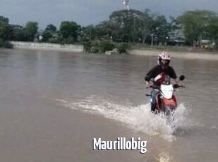 Maurillobig