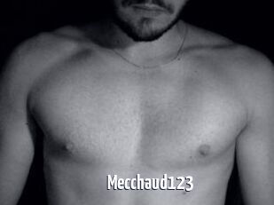Mecchaud123