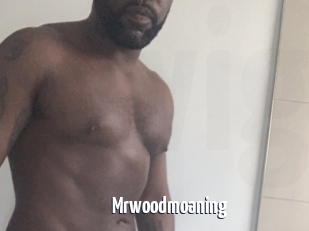 Mrwoodmoaning