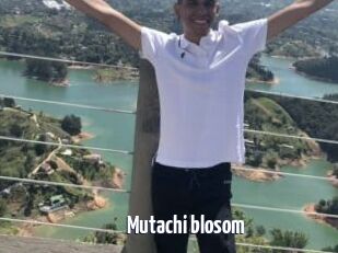 Mutachi_blosom