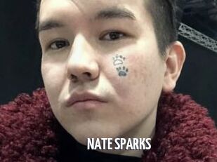 NATE_SPARKS