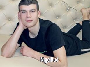 NigelBud