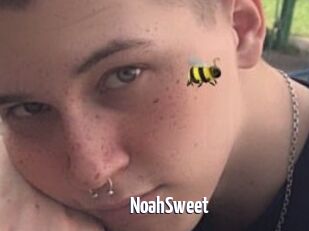 NoahSweet