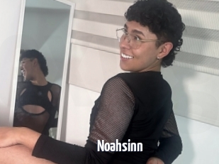 Noahsinn