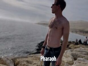 Pharaoh