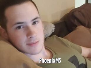 PhoenixMS