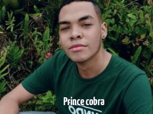 Prince_cobra