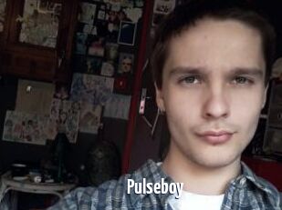 Pulseboy
