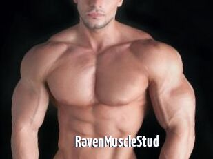RavenMuscleStud