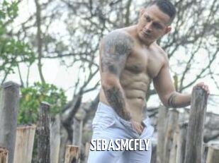 SEBASMCFLY