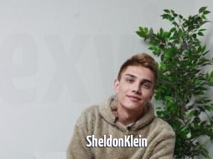 SheldonKlein